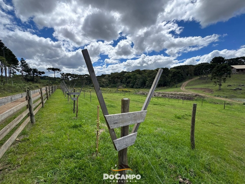 : 10ª foto da galeria de imagens do imóvel