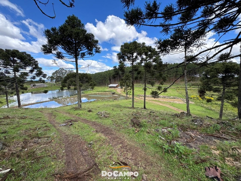 : 20ª foto da galeria de imagens do imóvel