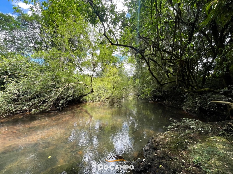 : 27ª foto da galeria de imagens do imóvel