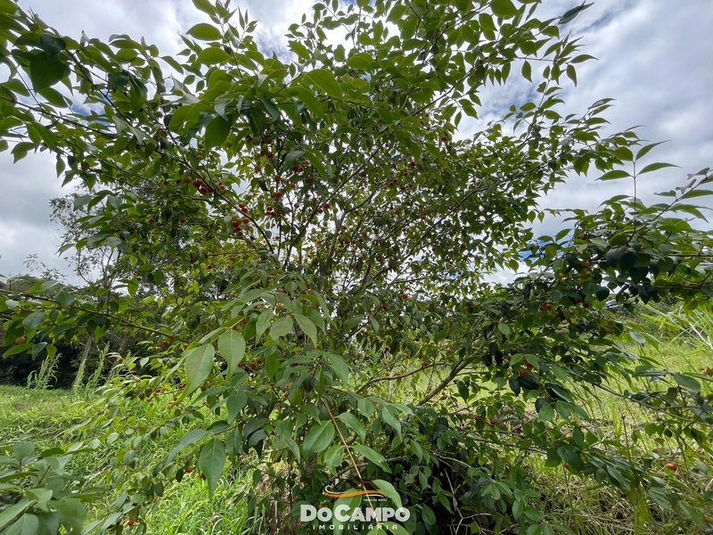 : 15ª foto da galeria de imagens do imóvel