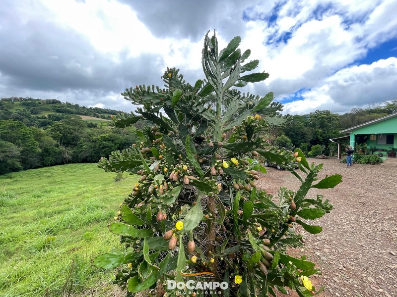 : 10ª foto da galeria de imagens do imóvel