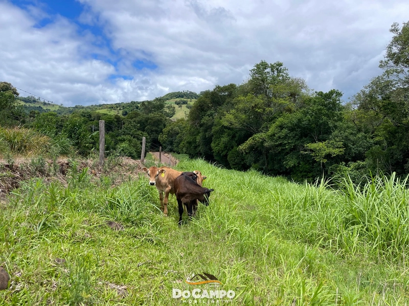 : 33ª foto da galeria de imagens do imóvel