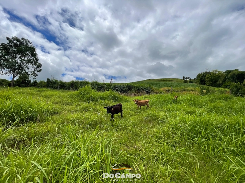 : 29ª foto da galeria de imagens do imóvel