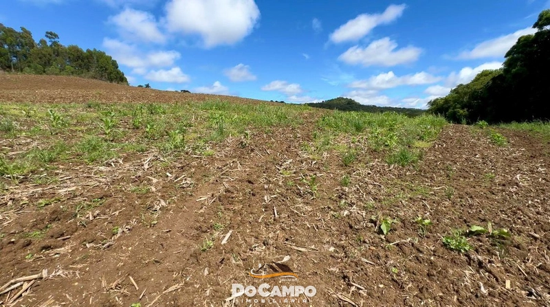 : 7ª foto da galeria de imagens do imóvel