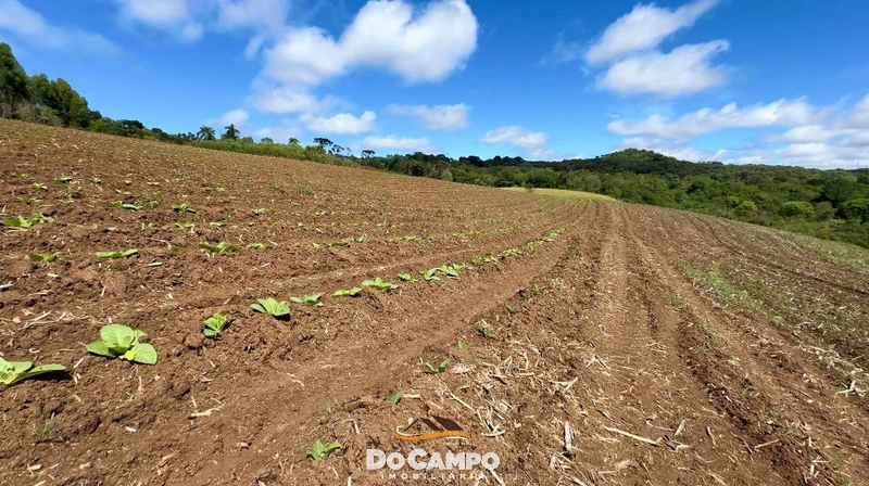 : 6ª foto da galeria de imagens do imóvel