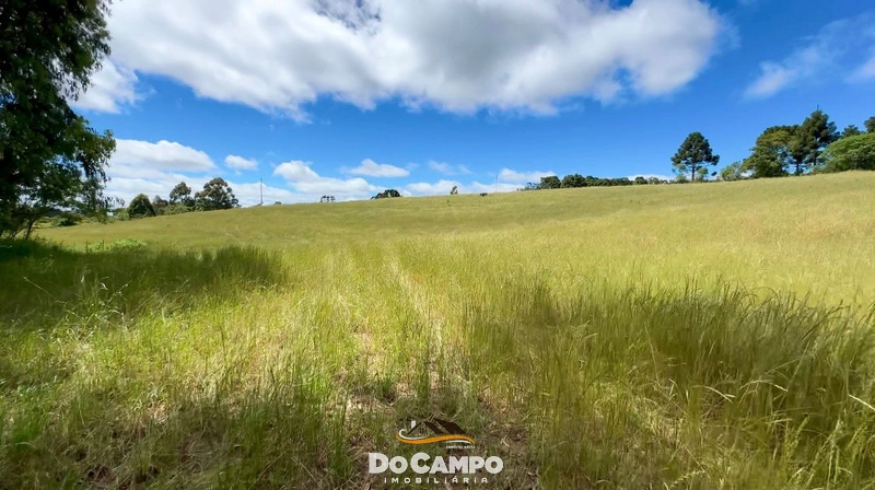 : 5ª foto da galeria de imagens do imóvel