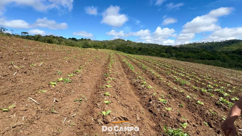 : 8ª foto da galeria de imagens do imóvel