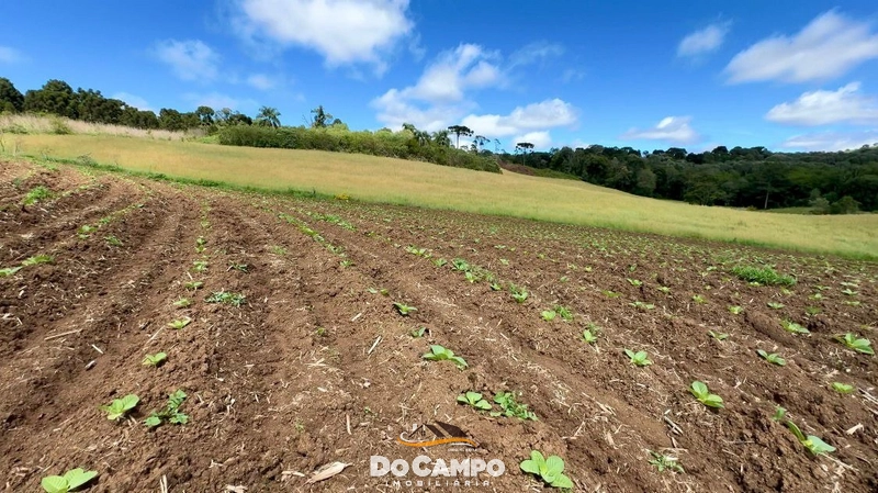 : 9ª foto da galeria de imagens do imóvel