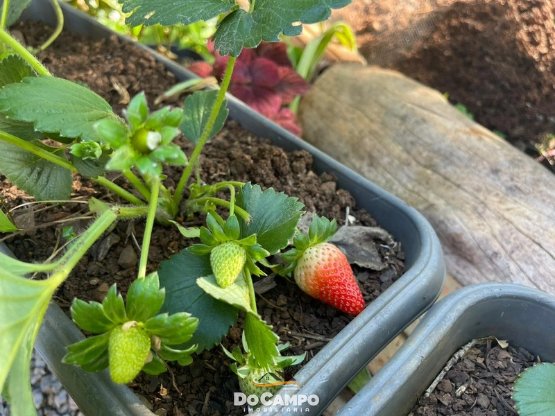 : 22ª foto da galeria de imagens do imóvel