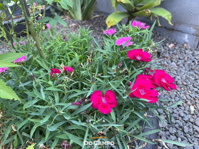 : 25ª foto da galeria de imagens do imóvel