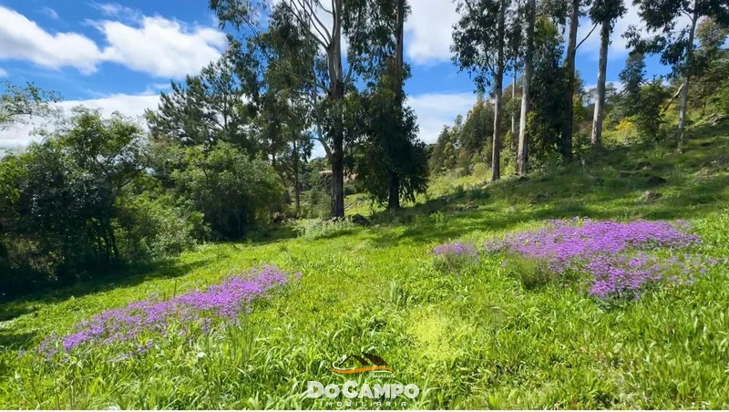 : 9ª foto da galeria de imagens do imóvel