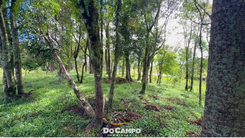 : 14ª foto da galeria de imagens do imóvel