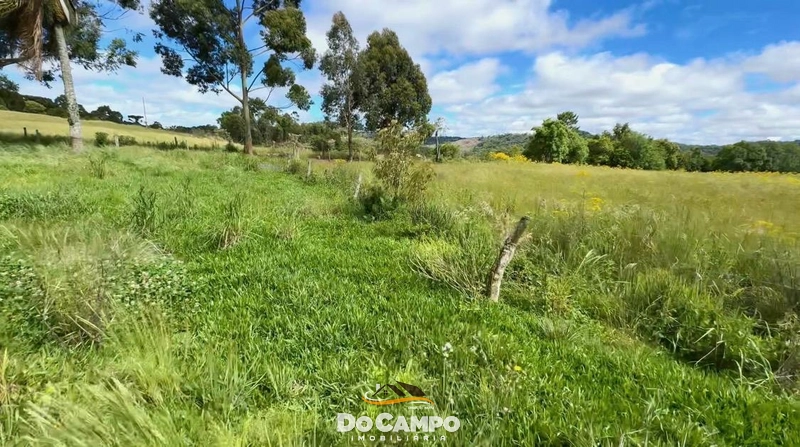 : 12ª foto da galeria de imagens do imóvel