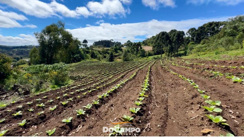 : 7ª foto da galeria de imagens do imóvel
