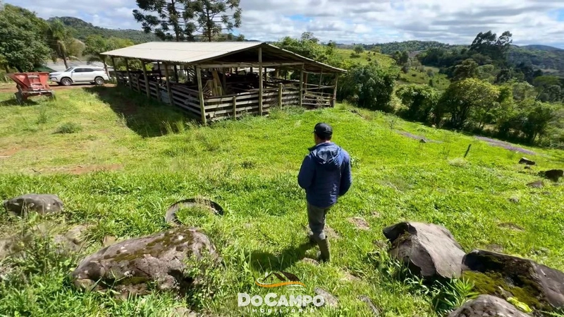 : 11ª foto da galeria de imagens do imóvel