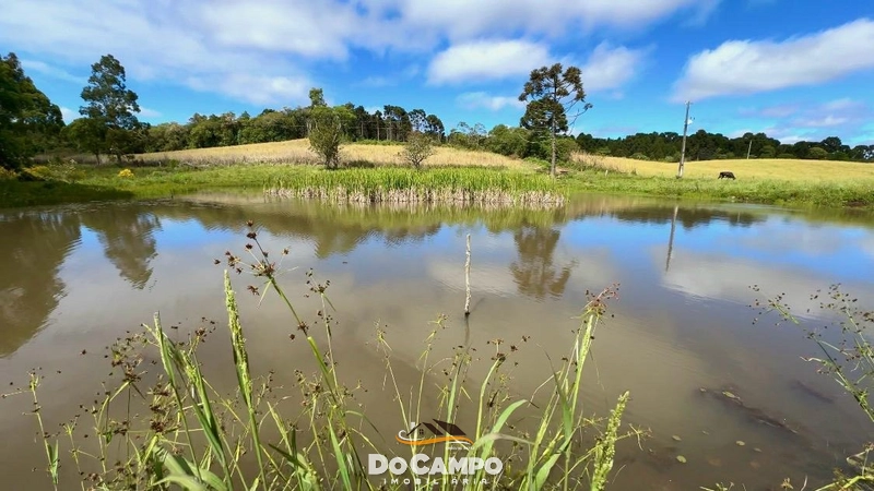 : 3ª foto da galeria de imagens do imóvel