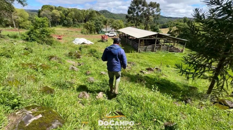 : 10ª foto da galeria de imagens do imóvel