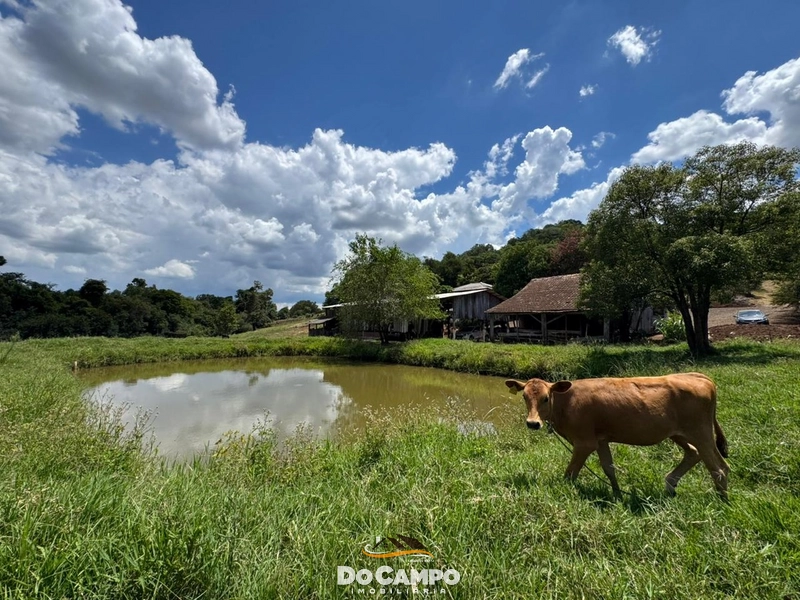 : 24ª foto da galeria de imagens do imóvel