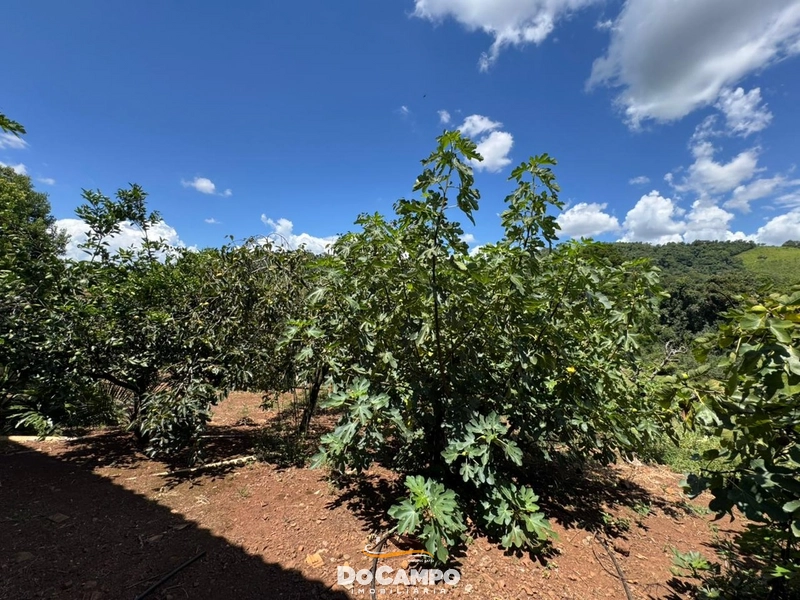 : 22ª foto da galeria de imagens do imóvel