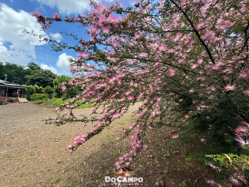 : 7ª foto da galeria de imagens do imóvel