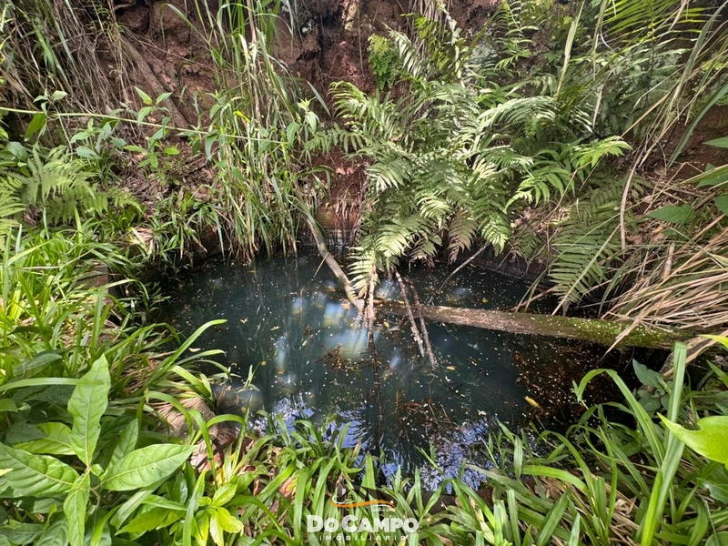 : 12ª foto da galeria de imagens do imóvel