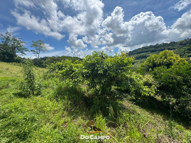 : 24ª foto da galeria de imagens do imóvel