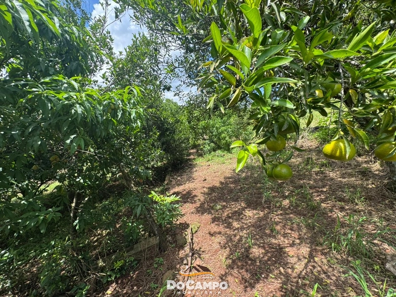 : 8ª foto da galeria de imagens do imóvel