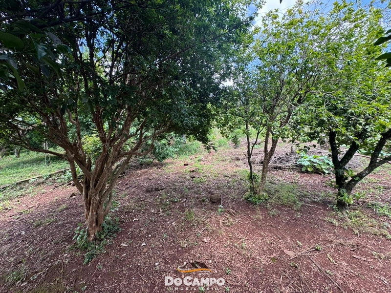 : 7ª foto da galeria de imagens do imóvel