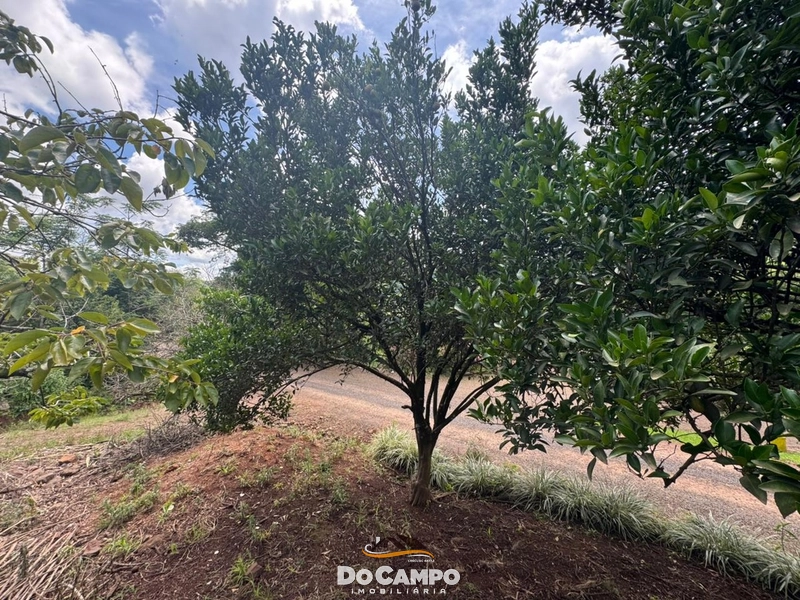 : 3ª foto da galeria de imagens do imóvel