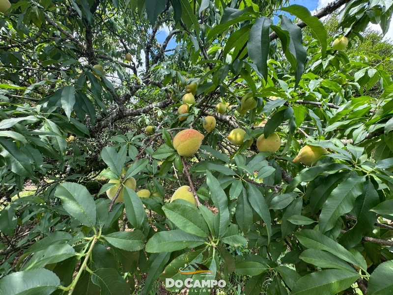 : 6ª foto da galeria de imagens do imóvel