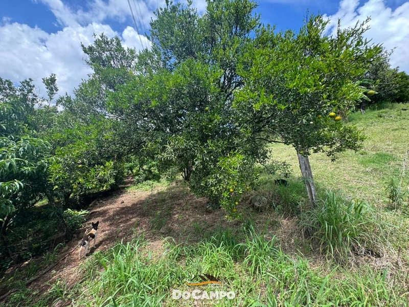 : 4ª foto da galeria de imagens do imóvel