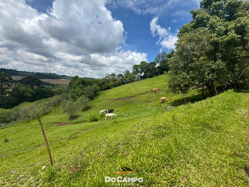 : 20ª foto da galeria de imagens do imóvel