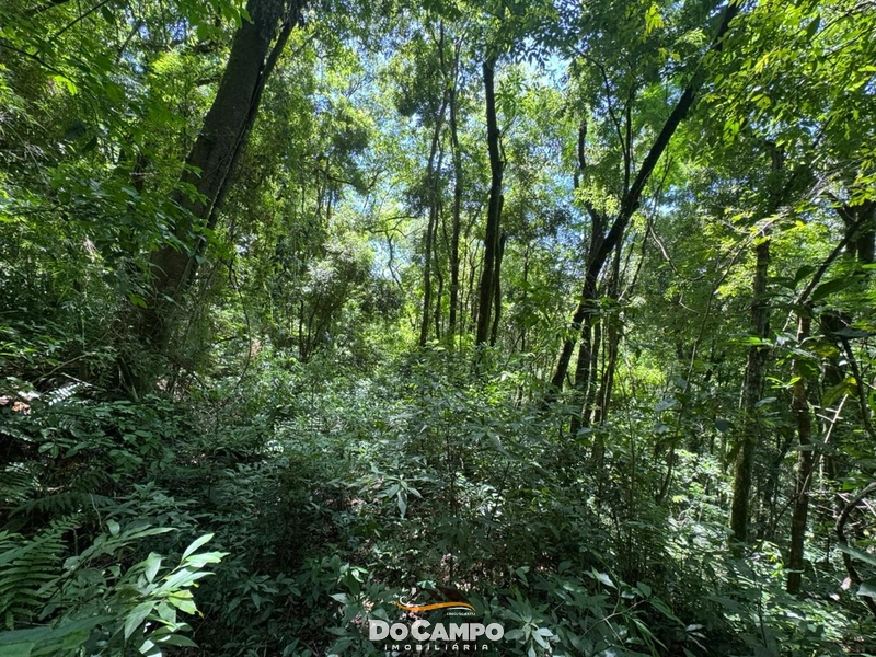 : 25ª foto da galeria de imagens do imóvel