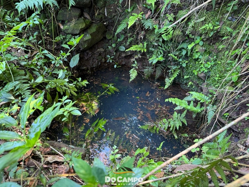 : 29ª foto da galeria de imagens do imóvel