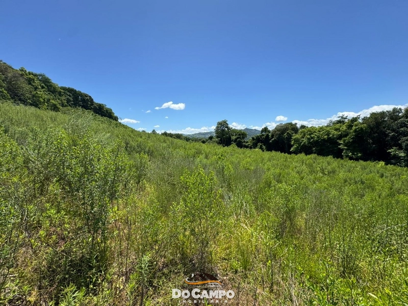 : 27ª foto da galeria de imagens do imóvel