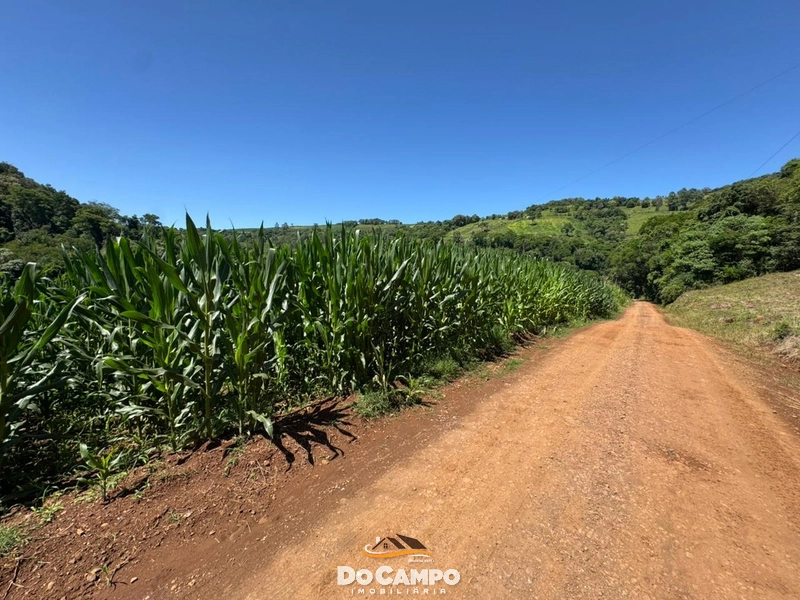 : 21ª foto da galeria de imagens do imóvel