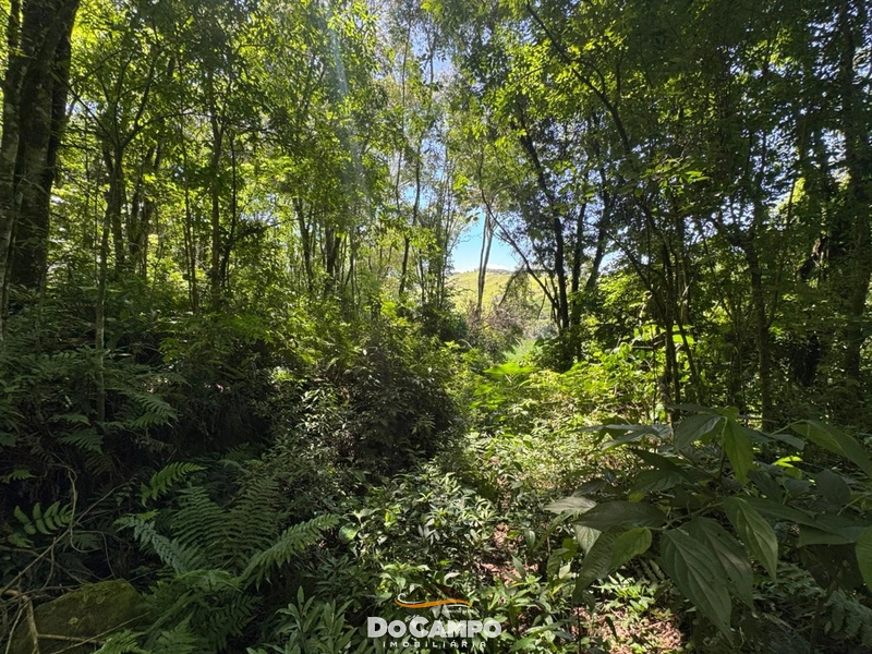 : 26ª foto da galeria de imagens do imóvel