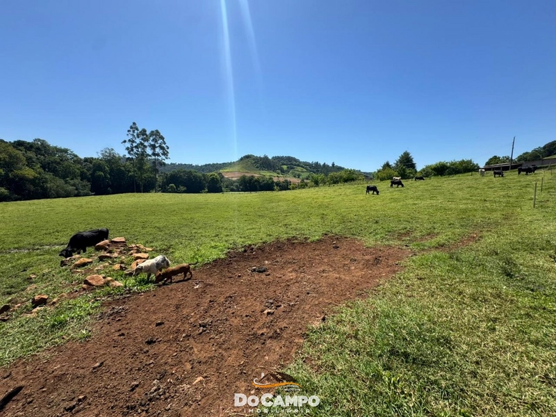 : 27ª foto da galeria de imagens do imóvel