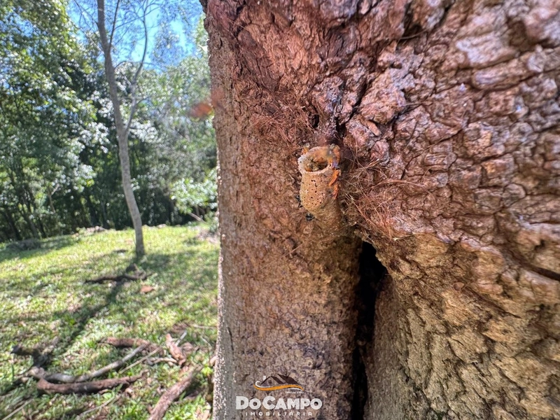 : 26ª foto da galeria de imagens do imóvel