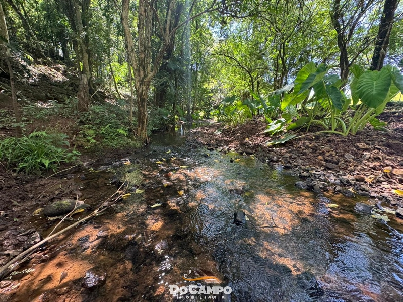 : 22ª foto da galeria de imagens do imóvel