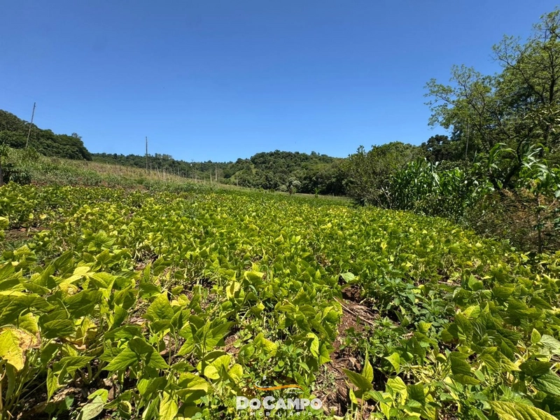 : 11ª foto da galeria de imagens do imóvel