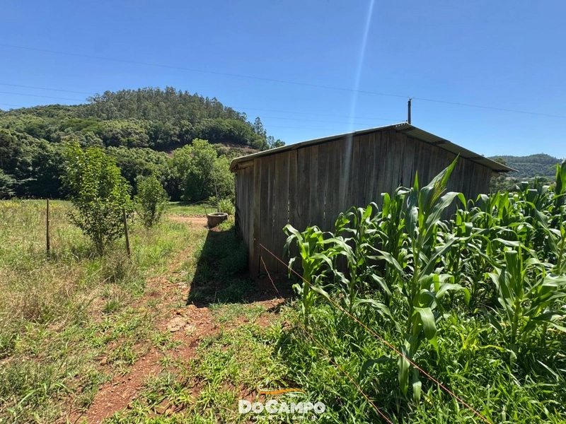 : 5ª foto da galeria de imagens do imóvel