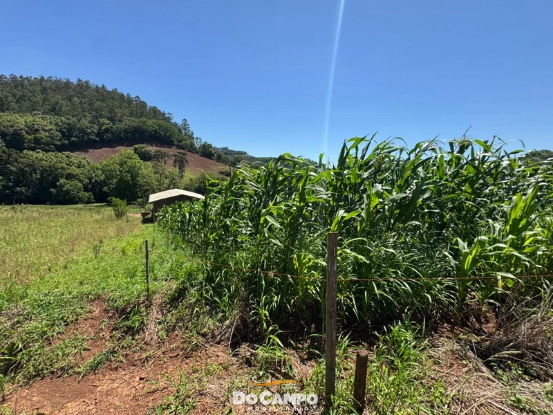 : 22ª foto da galeria de imagens do imóvel