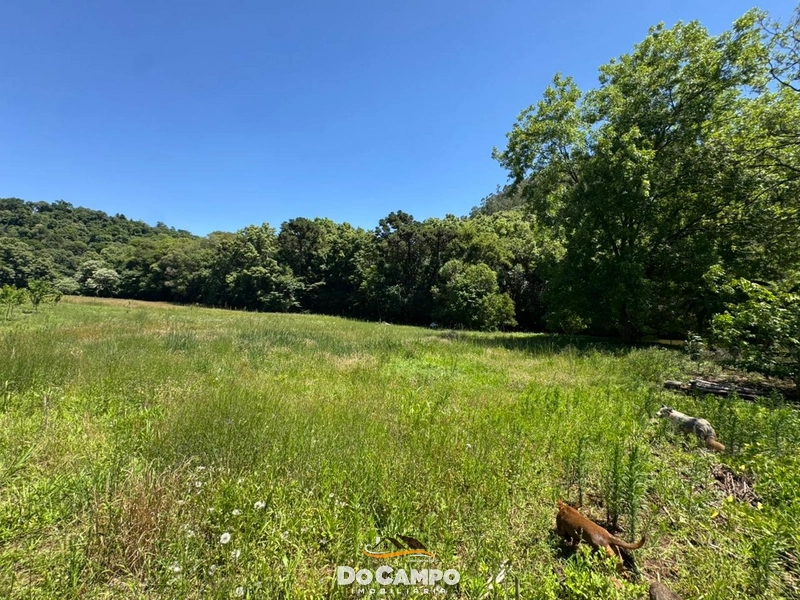 : 19ª foto da galeria de imagens do imóvel