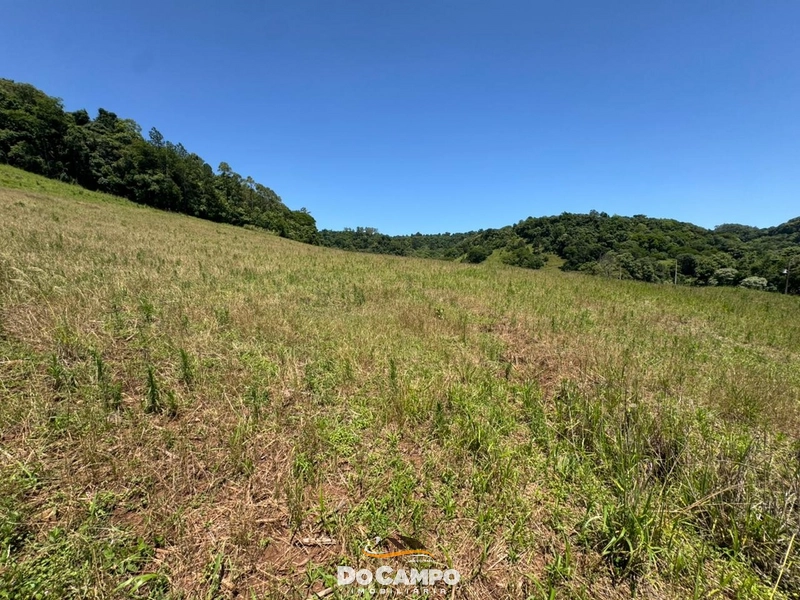 : 24ª foto da galeria de imagens do imóvel