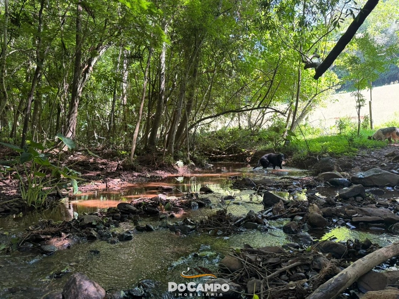 : 7ª foto da galeria de imagens do imóvel