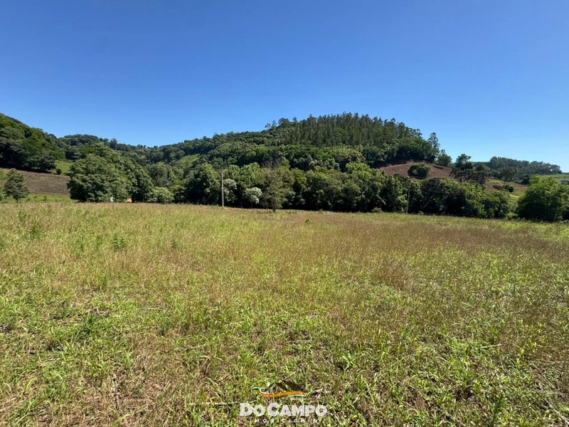 : 12ª foto da galeria de imagens do imóvel