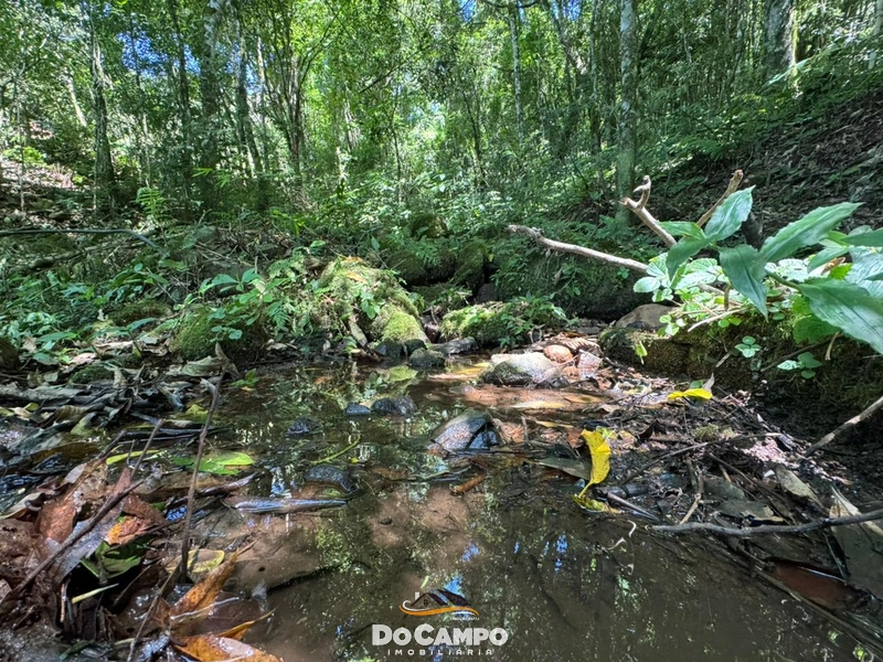 : 24ª foto da galeria de imagens do imóvel