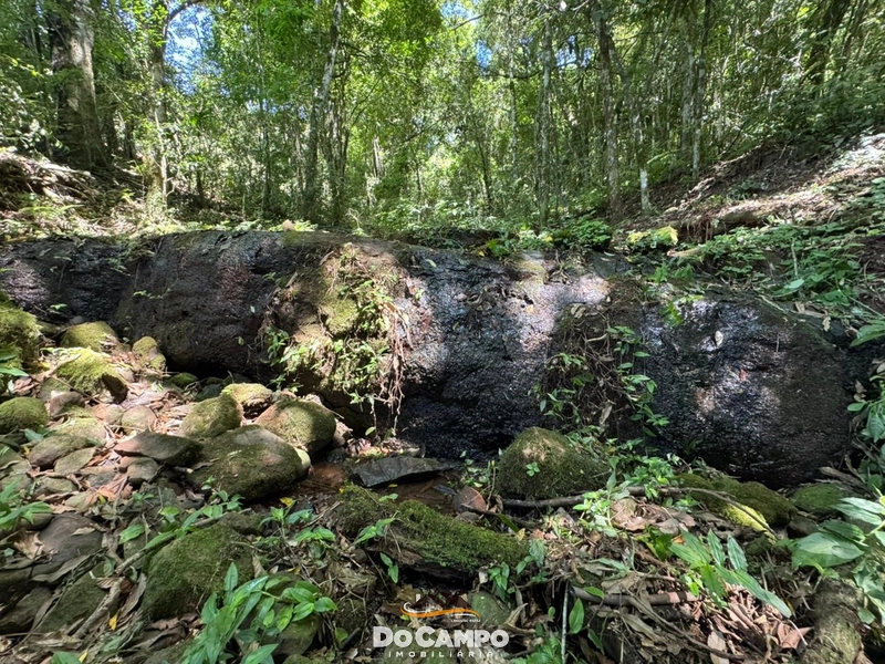 : 20ª foto da galeria de imagens do imóvel