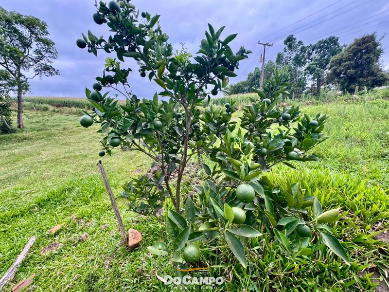 : 29ª foto da galeria de imagens do imóvel